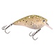PowerCatcher Crank 50 PowerCatcher Crank 50