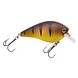PowerCatcher Crank 70 PowerCatcher Crank 70