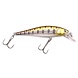 PowerCatcher Minnow 65 PowerCatcher Minnow 65