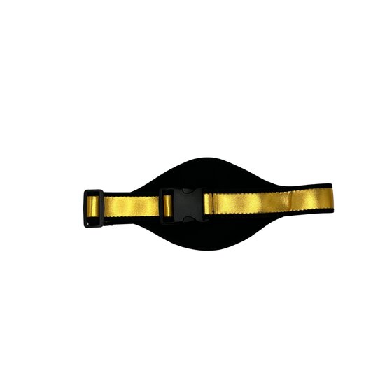 House of Workouts Mic Belt Gold Limited Edition