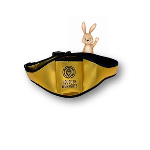 Mic Belt Gold Limited Edition