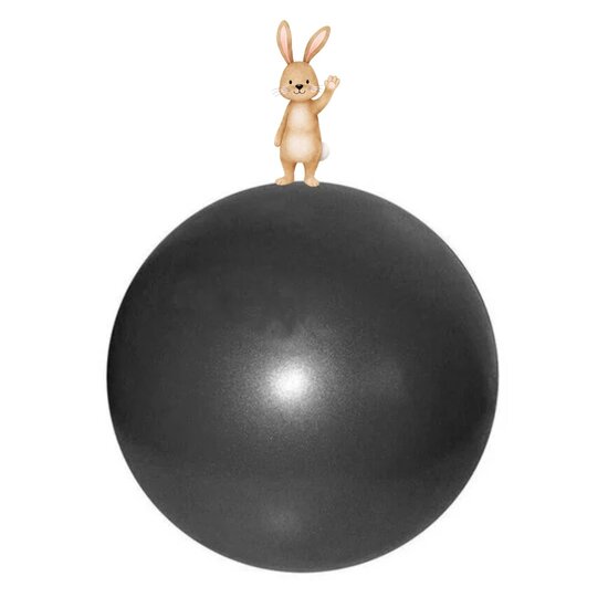 House of Workouts Pilates Bal | 21 - 23 cm