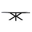 Eleonora Boomstam tafel met spinpoot zwart- 240x100