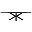 Eleonora Boomstam tafel met spinpoot zwart- 300x100