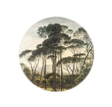 Morita jungle - small