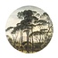 Morita jungle - large