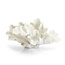 Coscina - white