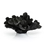 Coscina - black