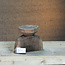 Stoer&Puur Unieke Houten Kandelaar Medium 17x17x20cm