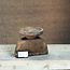 Stoer&Puur Unieke Houten Kandelaar Medium 17x17x20cm