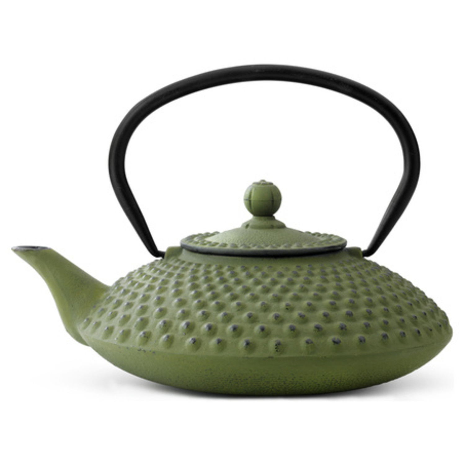 Bredemeijer gietijzeren theepot Xilin groen - the tea.
