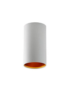 Spectrum LED Plafond opbouw spot wit-Goud