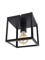 Luxar Plafondlamp 4W 2400K Dimbaar