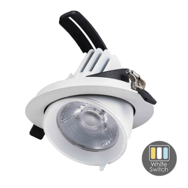 Luxar LED Downlighter White-Switch 30W Wit