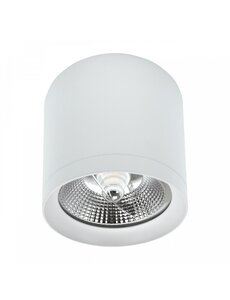 Spectrum LED Grote plafondspot wit AR111 - ES111