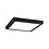 Paulmann Paulmann LED paneel opbouw 22 Watt vierkant 30cm mat zwart 4000K