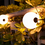 Luxar Luxar LED Lichtbollen Snoer 13.3M