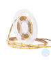 Luxar LED-strip 24V IP65 5M 10W/M 5000K Daglicht