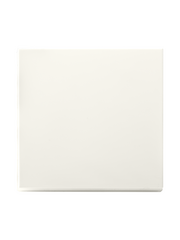 ION INDUSTRIES Tastdimmerknop V1/J1 Alpin Wit