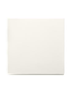 ION INDUSTRIES Tastdimmerknop V1/J1 Alpin Wit