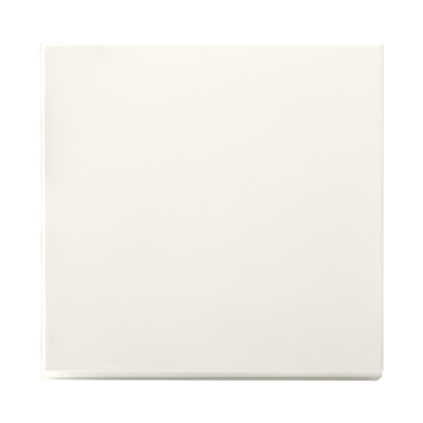 ION INDUSTRIES Tastdimmerknop V1/J1 Alpin Wit