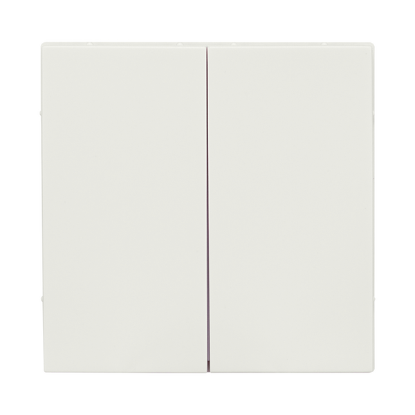 ION INDUSTRIES Duo Tastdimmerknop V1/J1 Alpin Wit