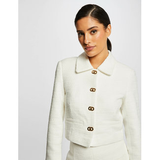 Morgan Buttoned Jacket 231-VLIVA