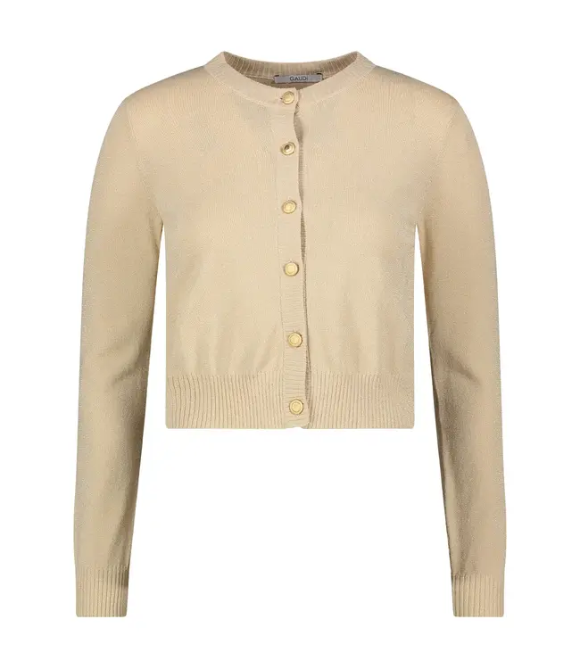 GAUDI Lurex cardigan 411FD53007 Black