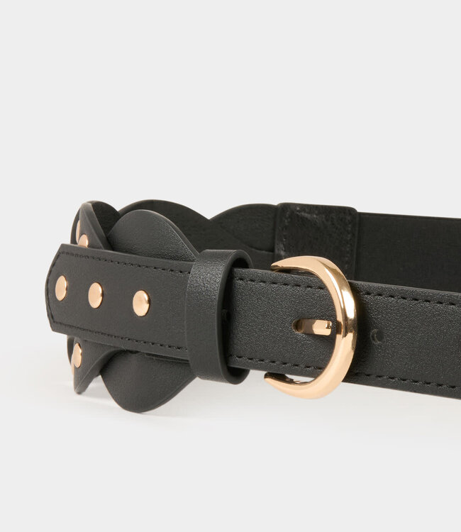 Morgan Elasticised belt with studs 242-3Maro Bruin