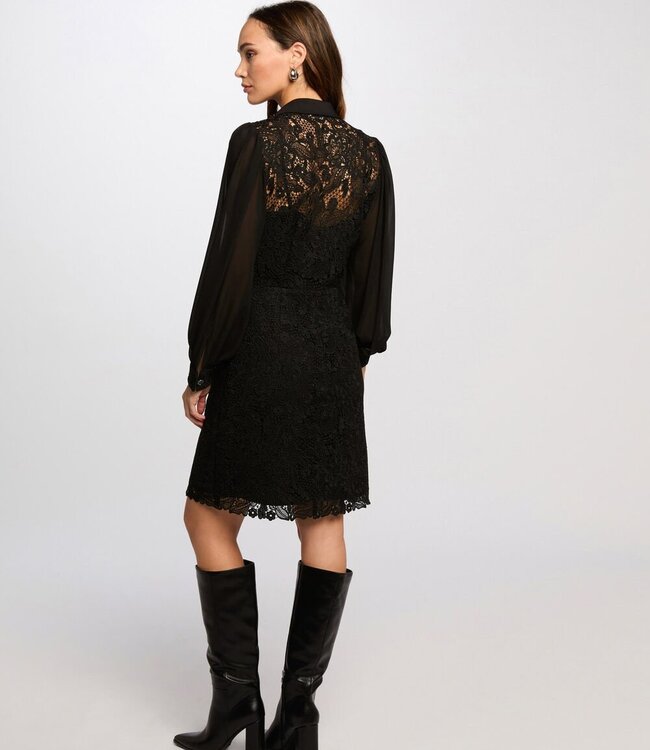 Morgan Straight Mini lace Dress 251-Rislo  Black