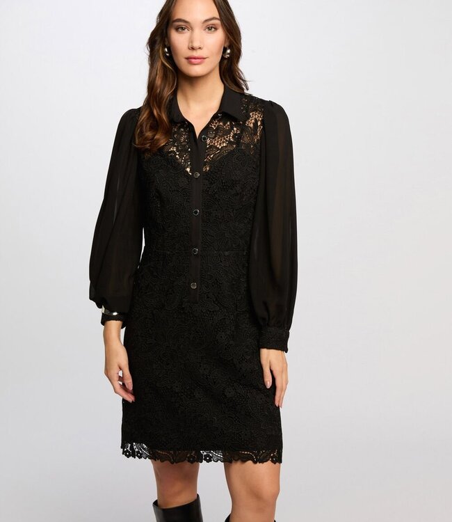 Morgan Straight Mini lace Dress 251-Rislo  Black