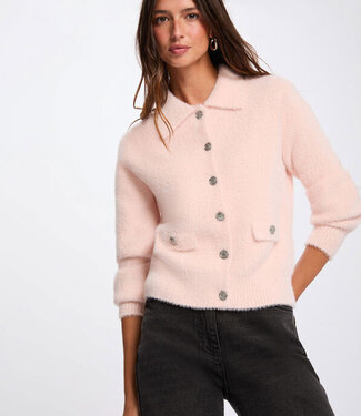 Morgan Vest met lange mouwen en reverskraag 261-MDOMILA Peche