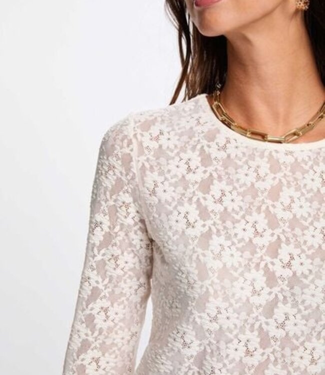 Morgan Fitted lace t-shirt 261-Thako ivory