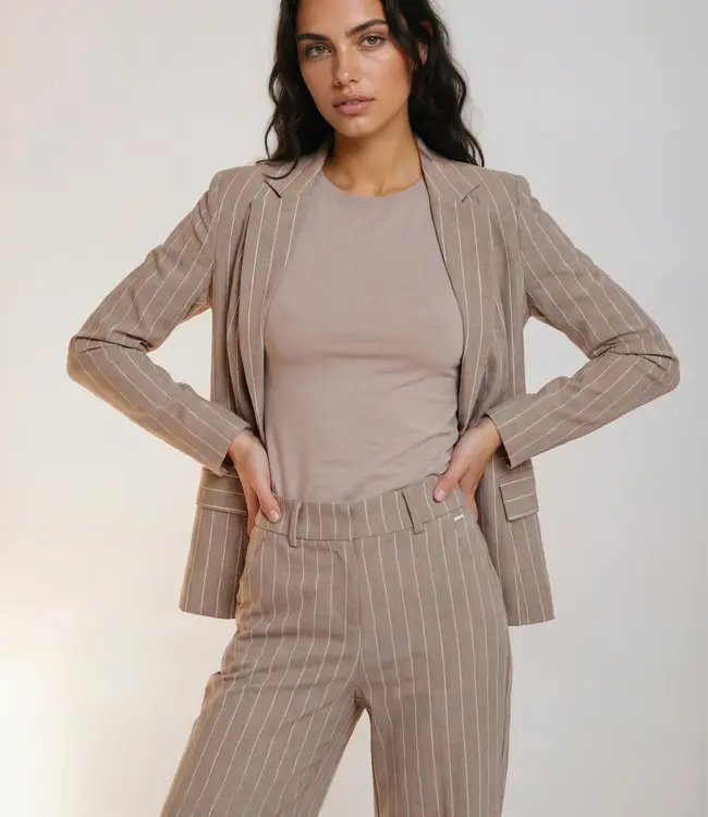 MI PIACE Heavy Travel Broek Classic Stripe Print 202581 Falcon