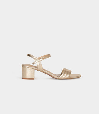 Morgan Sandals with heels 261-1Briano gold yellow