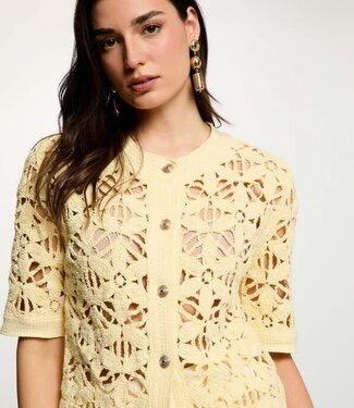 Morgan Gehaakt vest met ronde hals in 261-Moniz Pastelgeel Morgan Gehaakt vest met ronde hals in 261-Moniz Pastelgeel