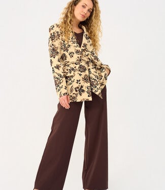 MI PIACE Travel Pantalon Uni 2136 Espresso