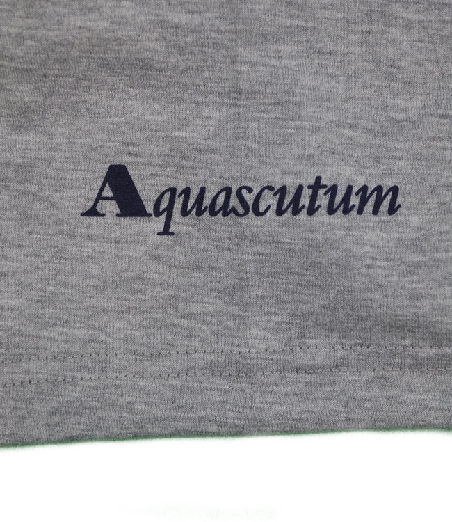 Aquascutum Grey T-shirt