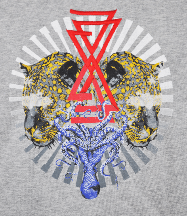 Just Cavalli Graues Sweatshirt/Pullover mit grossem Aufdruck