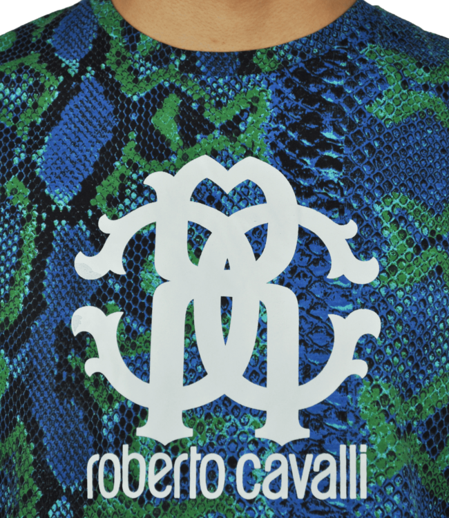 Roberto Cavalli T-shirt with Blue and Green Snake Print  and White Logo Print