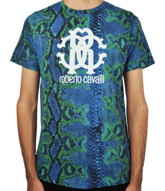 Roberto Cavalli T-shirt Blue & Green in Snake Print