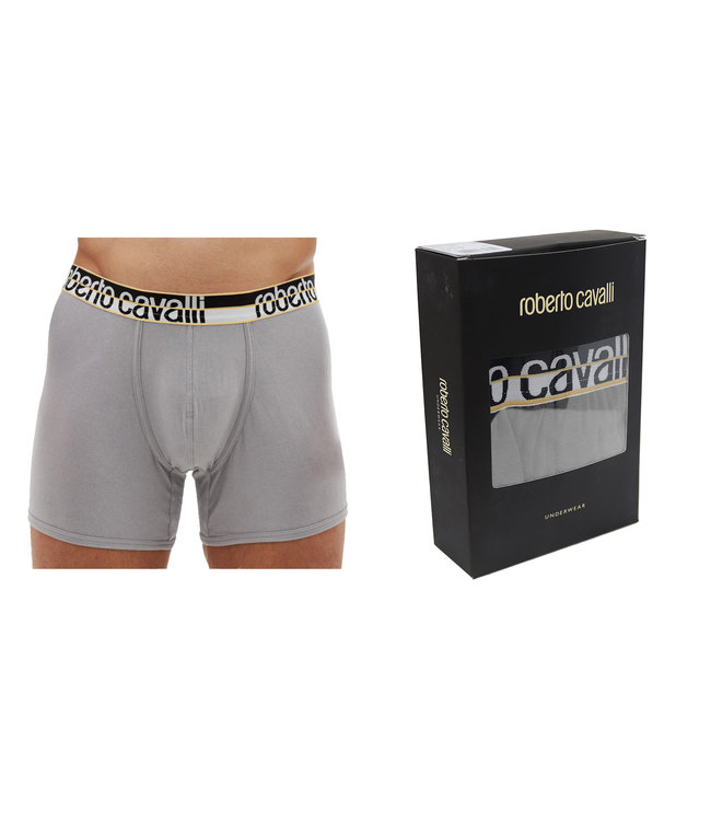 Roberto Cavalli 2er-Pack grauen Herren Boxershorts