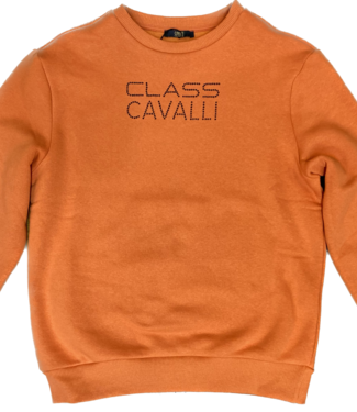 Class Cavalli Pullover - Orange mit Strass