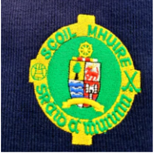 Hunter Scoil Mhuire - Boys School Jumper (Child Sizes)