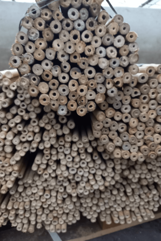 Bambusstäbe | Tonkin-Stäbe