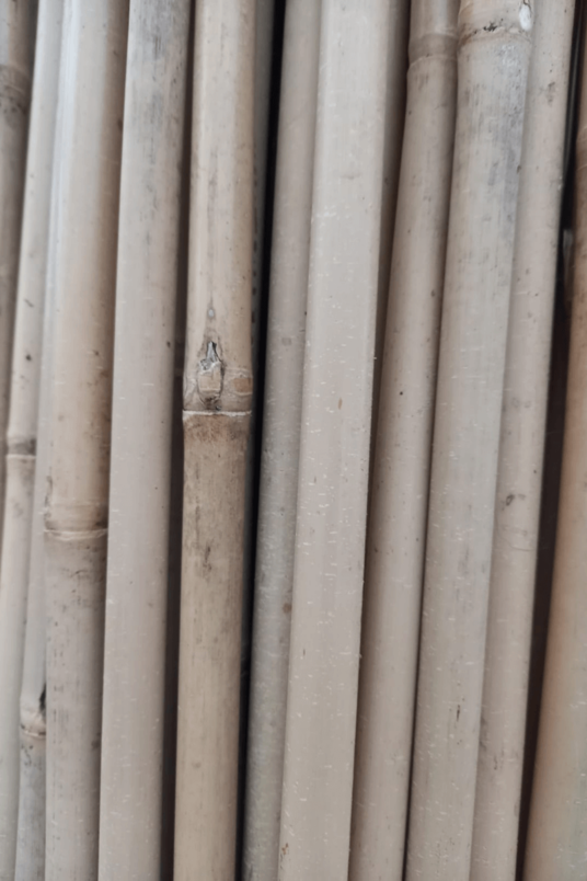 Bambusstäbe | Tonkin-Stäbe