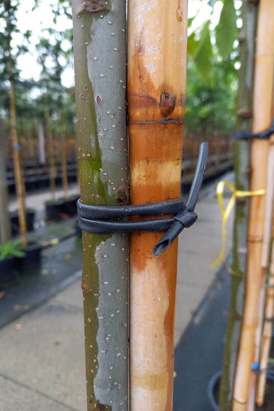 Binding wire black 3.5mm