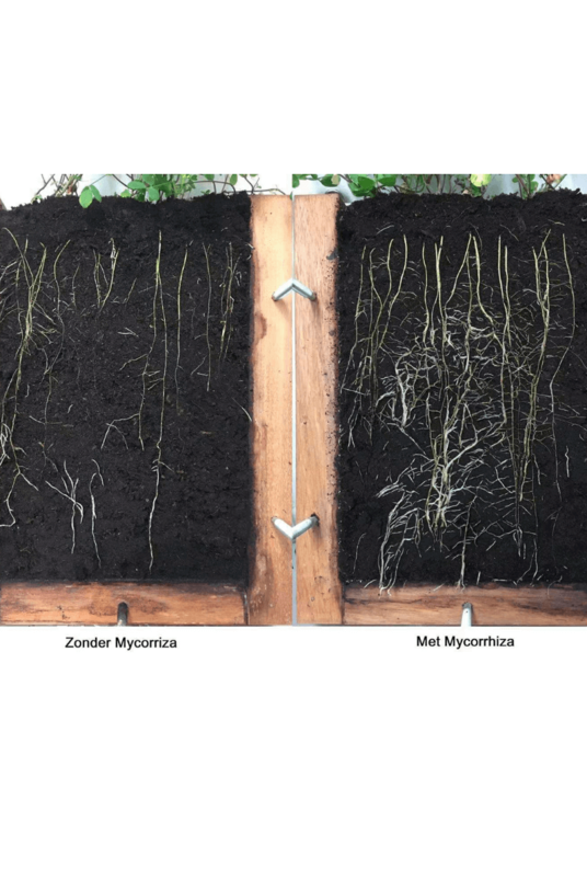 Treestart Pflanzsachets