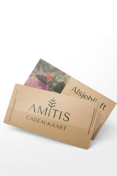 Gift card Amitis €100,-