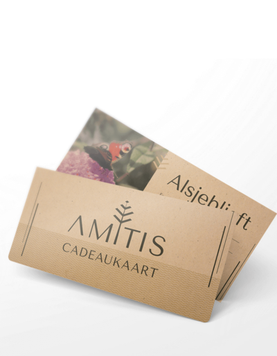 Cadeaukaart Amitis €60,-